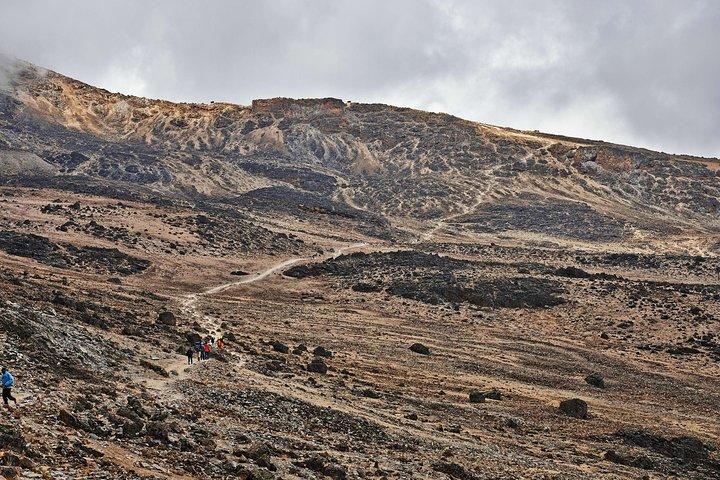 Kilimanjaro climb, Rongai Route (7-day)