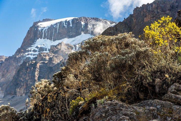 Kilimanjaro climb, Rongai Route (7-day)