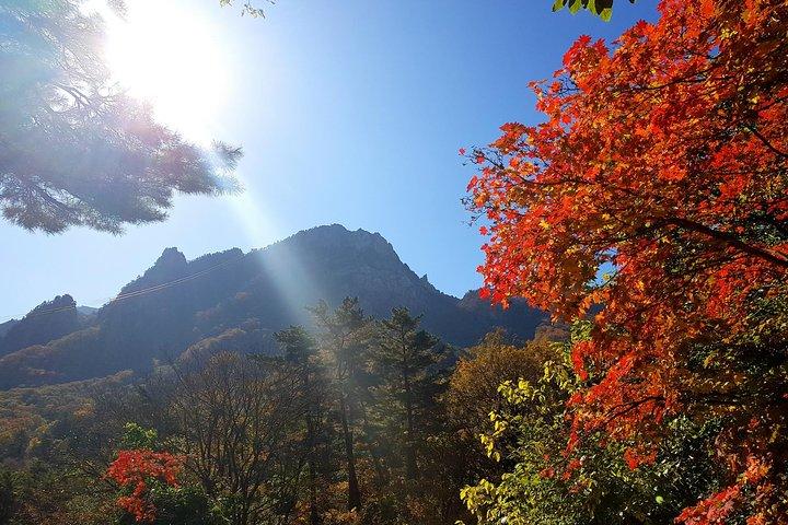 Private English Speaking Driver: Seoraksan & East Sea or Nami Island from Seoul