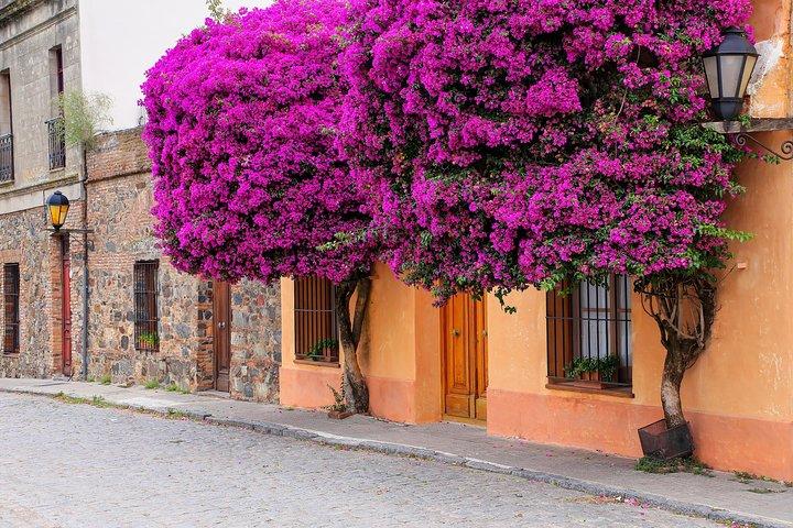 Day Tour in Colonia del Sacramento