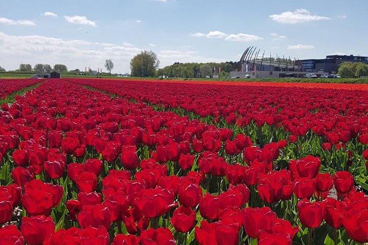 Keukenhof Skip-the-line Tickets: Countryside & Farm Private Tour