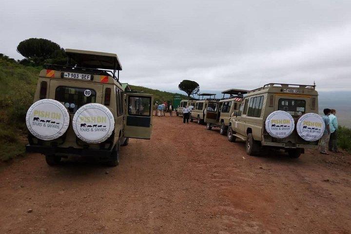 Tanzania Budget camping safaris