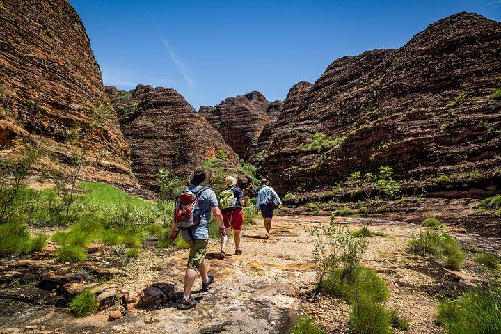 Bungle Bungle Scenic Flights, Domes & Cathedral Gorge Walk