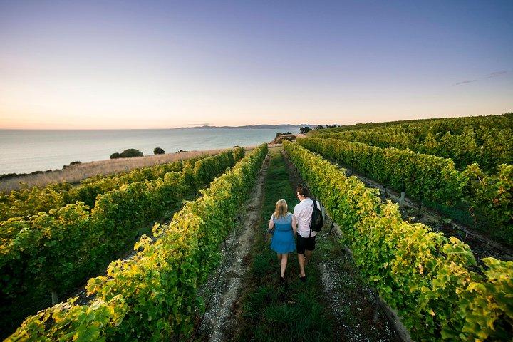 Full Day Winemakers Tour in Marlborough