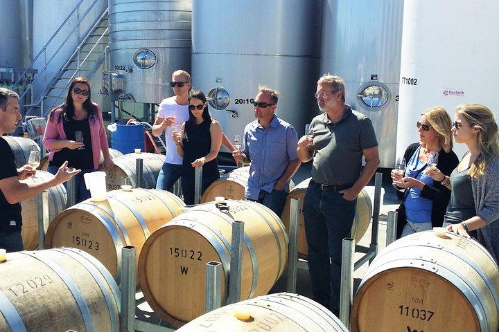 Full Day Winemakers Tour in Marlborough