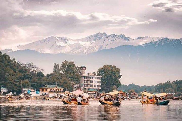Kashmir Family Tour - 07 Days Includes Accommodation and Private Transport