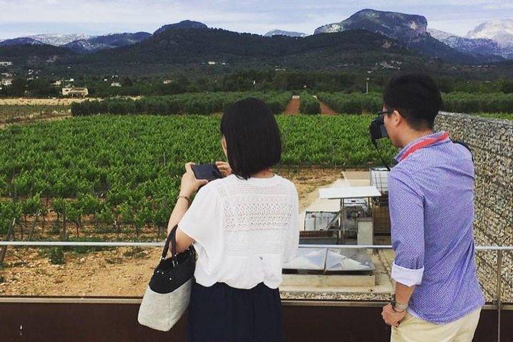 Sa Clasta Mallorca Wine Tours
