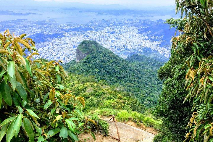 Private Hiking Tour to Tijuca Peak - Tijuca National Park - by OIR Aventura