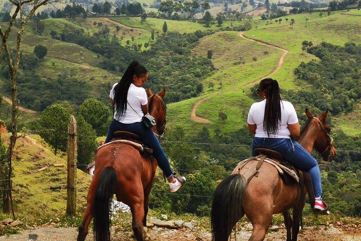 Coffee & Horses Private Tour in Medellin: A Fun & Authentic Day