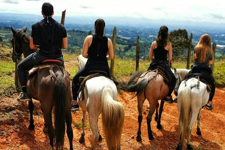 Coffee & Horses Private Tour in Medellin: A Fun & Authentic Day