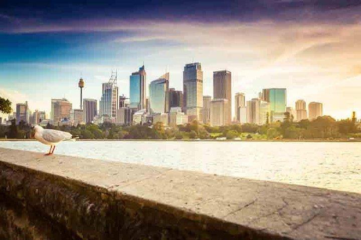 Private Sydney City and Bondi Beach Half Day Tour