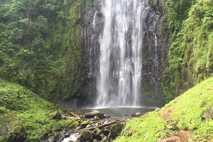 Full day in materuni waterfall and coffee tour with local food