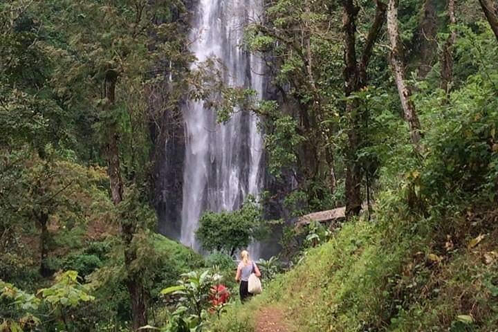 Full day in materuni waterfall and coffee tour with local food