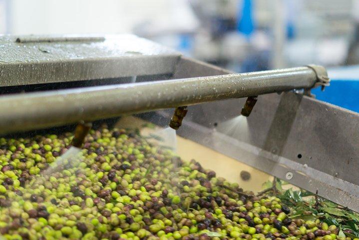 Olive Oil Tasting & Ancient Epidavros