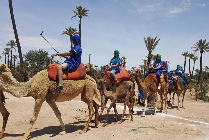 Camel Ride Marrakech