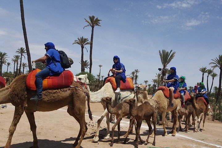 Camel Ride Marrakech