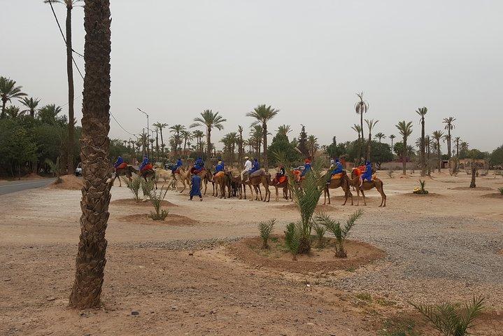 Camel Ride Marrakech