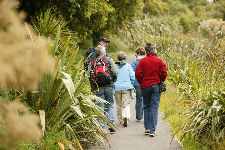 Zealandia by Day - Small Group 2-Hour Eco Wildlife Tour