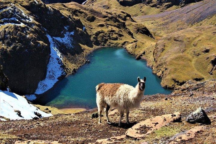 Ultimate Lares Trek & Inca Trail 5 days