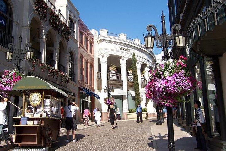 Small Group City Tour Of Los Angeles from LAX: Layover Tour