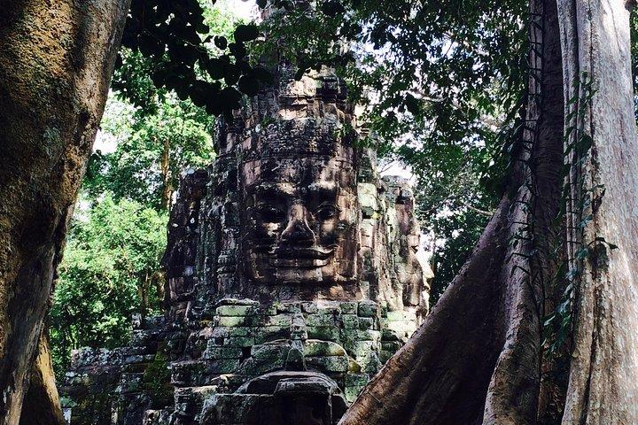 A Day Angkor Park Tours - Private English Speaking Tour Guide