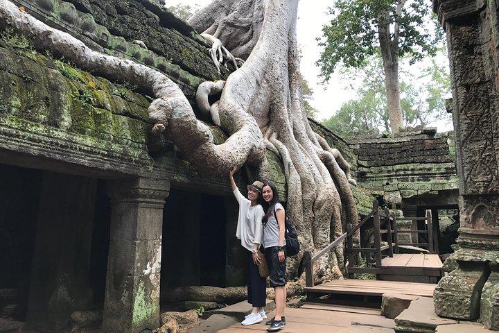 A Day Angkor Park Tours - Private English Speaking Tour Guide