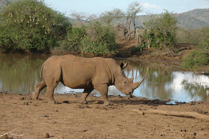 2 Days / 1 Night Join group safari