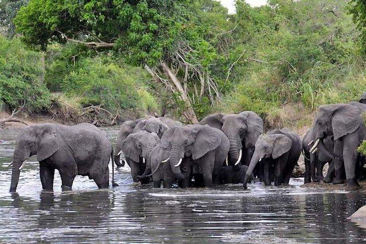 2 Days / 1 Night Join group safari