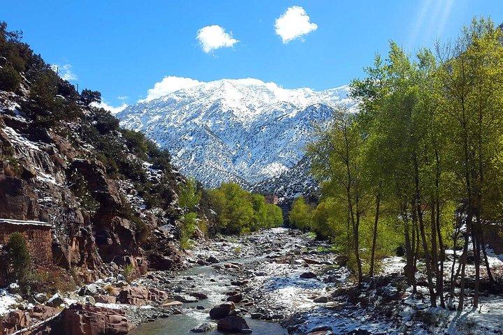 Ourika Valley - Private Day trip from Marrakech