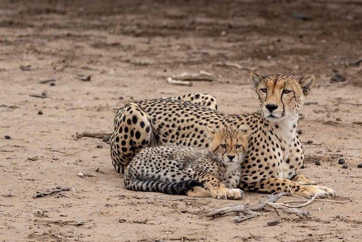 2 Days / 1 Night Join group safari