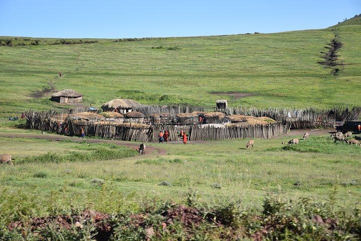 2 Days / 1 Night Tanzania Safari Tour