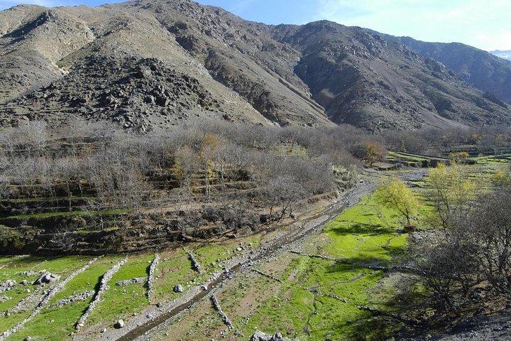 Marrakech day tour to Atlas Mountains & Ourika valley