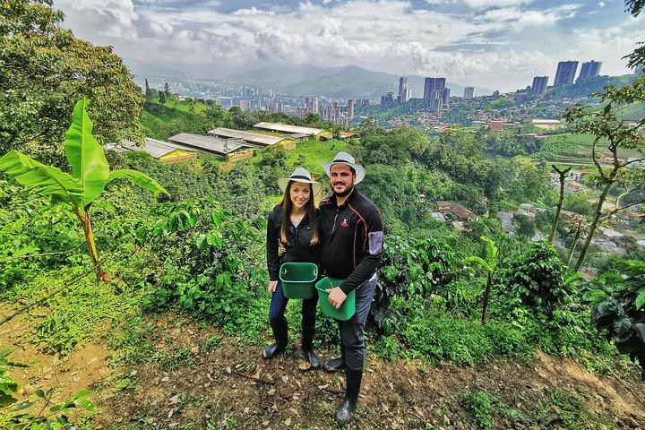 Coffee & Horses Private Tour in Medellin: A Fun & Authentic Day