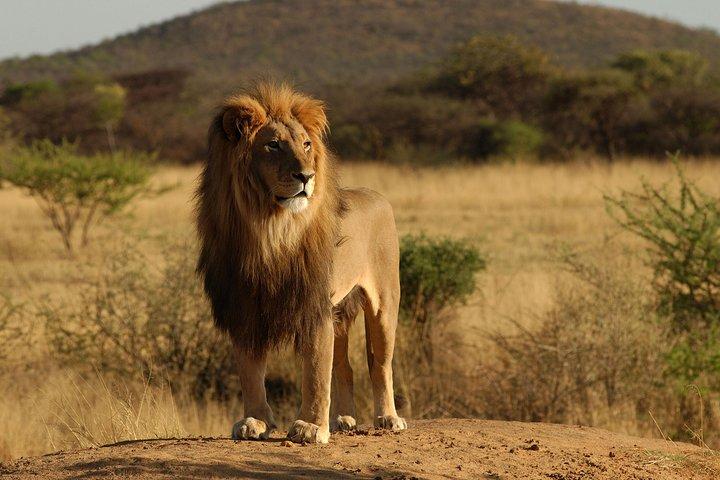 4 Days / 3 Nights Join group safari