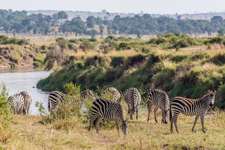 4 Days / 3 Nights Join group safari