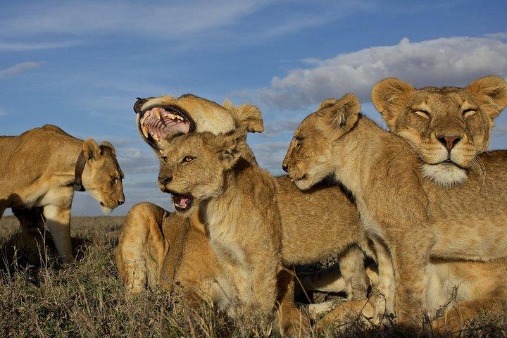 5 Days / 4 Nights Join group safari