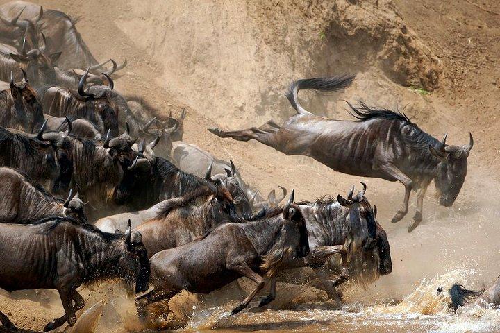 Day Tour: Arusha National Park