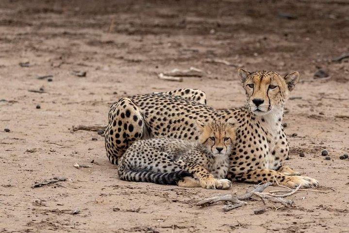3 Days / 2 Nights join group safari (Serengeti National park)