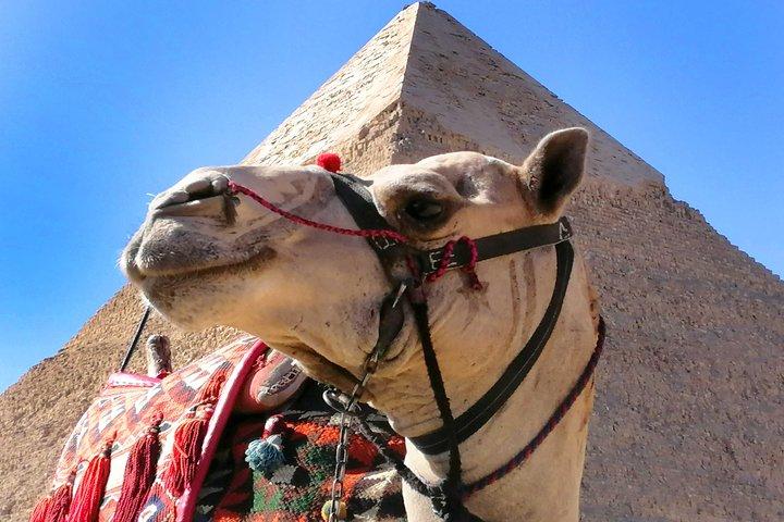 Pyramids of Giza, the Sphinx, the Egyptian Museum.