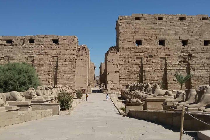 Day tour to Karnak, Luxor Temple and 2 Luxor city Museums