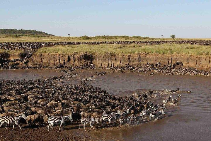 6 Days / 5 Nights Join group safari
