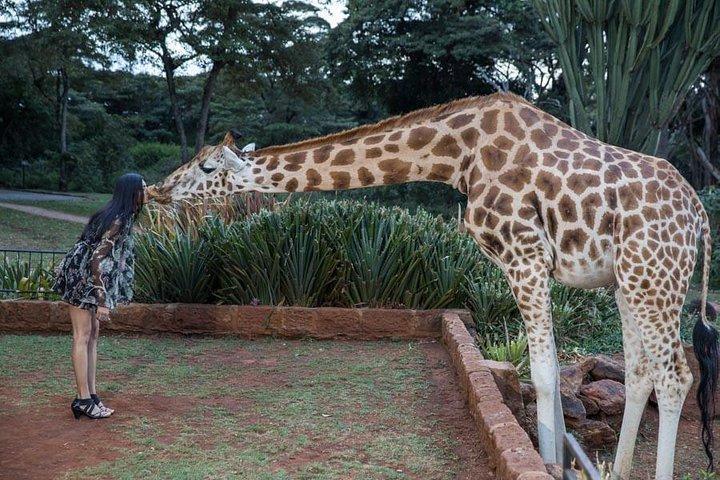 Vacation Photographer in Nairobi