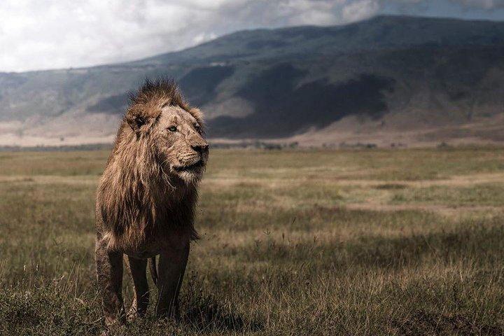 6 Days lodge safaris