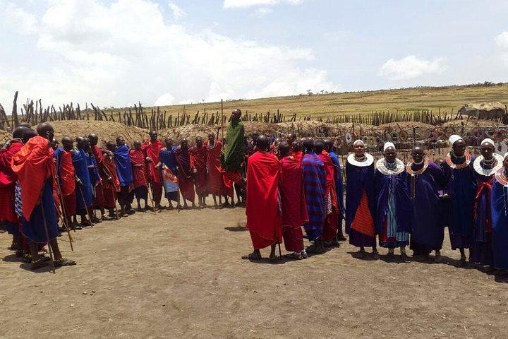 9 Days / 8 Nights Join group Safari
