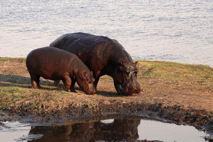7 Days / 6 Nights Join group Safari