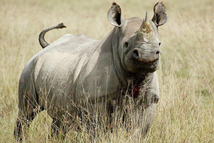 7 Days / 6 Nights Join group Safari