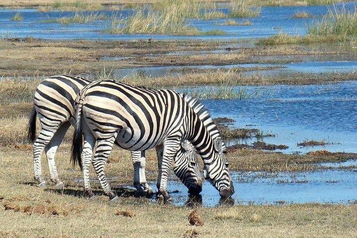 Day trip Arusha National Park Tour Tanzania Safari