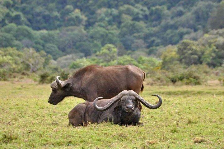 7 Days Tanzania Small Group Safari