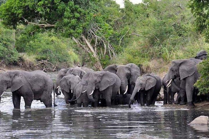 2 Days Budget Camping Safari Tour Tanzania