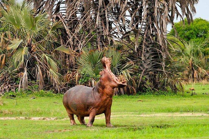 Tanzania Safari Join Group